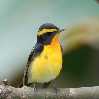 Rockbean于2020-07-07 13:57发布的图片