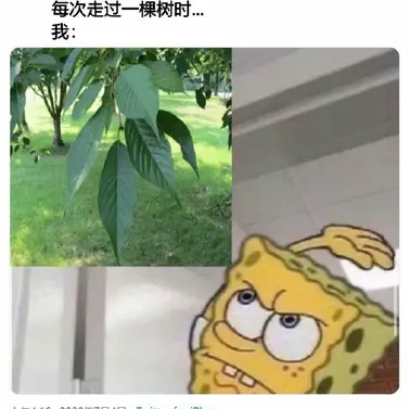 火鸡turkey于2020-07-08 14:18发布的图片