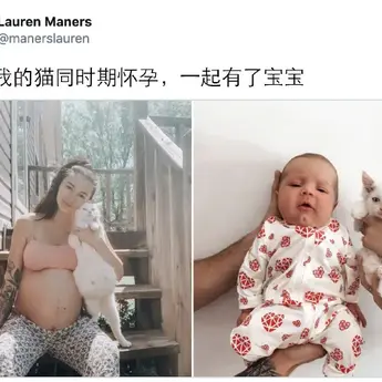 喵秒喵于2020-07-08 15:44发布的图片