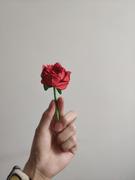 fujinlong的个人资料头像