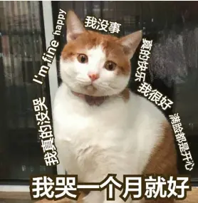 image-20200708203252024