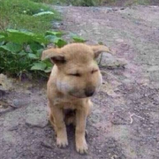 _TNT的个人资料头像