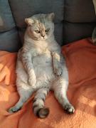 minyilee的个人资料头像