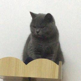 阶梯于2020-07-09 22:39发布的图片