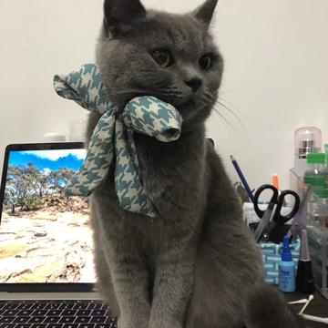 阶梯于2020-07-09 22:39发布的图片