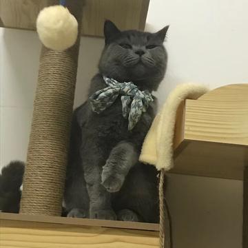 阶梯于2020-07-09 22:39发布的图片