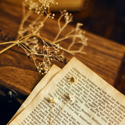 扶桑日的个人资料头像