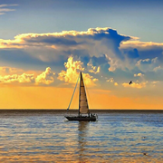 听风默之的个人资料头像