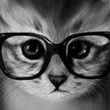 嗷小喵的个人资料头像