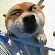 幻化万千戏红尘的个人资料头像