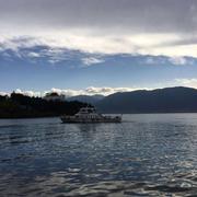 楼外楼的个人资料头像