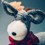 zhzhzh的个人资料头像