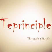 Teprinciple的个人资料头像