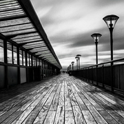 ACWei的个人资料头像