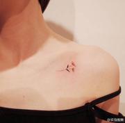 小骄傲的个人资料头像