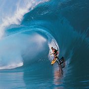 huawaii的个人资料头像