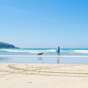 LYK11223的个人资料头像