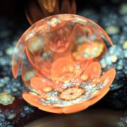 xiao大爷的个人资料头像