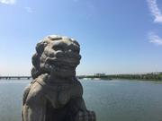 rijndael的个人资料头像