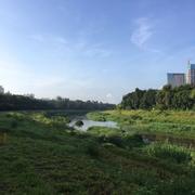 翟志军的个人资料头像