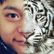 鸿杰的个人资料头像