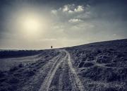 Anani的个人资料头像