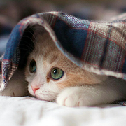 六月_的个人资料头像