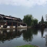 iW的个人资料头像