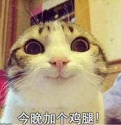 eternalshallow的个人资料头像