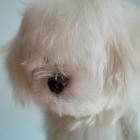 陈正经很靠谱的个人资料头像