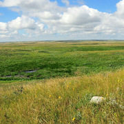 Ctrl_C_V的个人资料头像