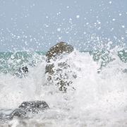 ileechee的个人资料头像