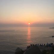 菜菜森的个人资料头像