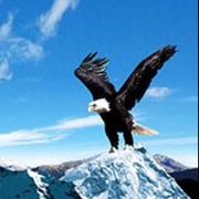 LJ_JYFY的个人资料头像