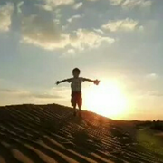 zgj224的个人资料头像