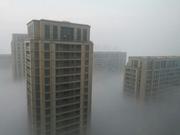 小饭团攻城师的个人资料头像