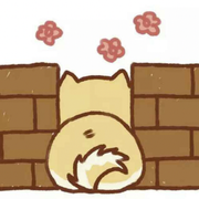 放下那只猫的个人资料头像