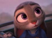 夏日哈哈的个人资料头像