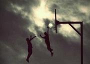 color_小浣熊的个人资料头像