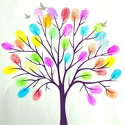 ATP的个人资料头像