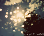 Anyer_s的个人资料头像