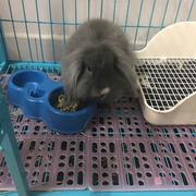 帅的被人砍的个人资料头像