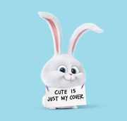 dingdon的个人资料头像