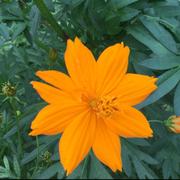 cym_bj的个人资料头像