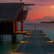 panxdjoy的个人资料头像