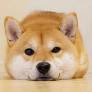 Alan_的个人资料头像