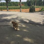 牛奶拌饭的个人资料头像