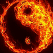 用户4956553854080709427的个人资料头像