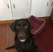 tlysuger的个人资料头像