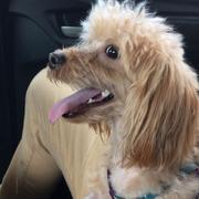 kimoms的个人资料头像